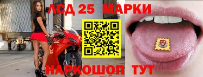 гидропоника Славгород