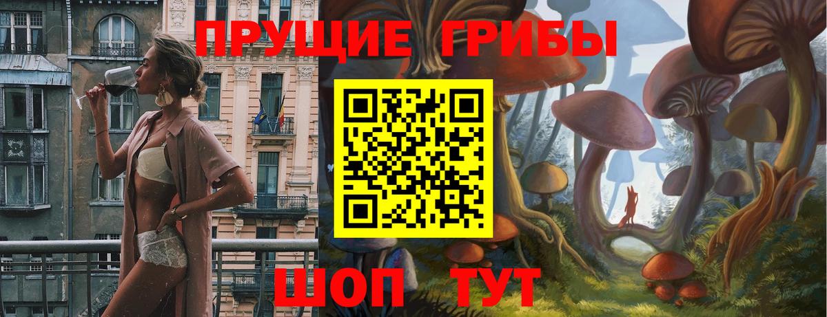Галлюциногенные грибы мицелий  Галлюциногенные грибы GOLDEN TEACHER  Вход с VPN  Тайшет 